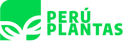 Perú Plantas - plantas para tu hogar